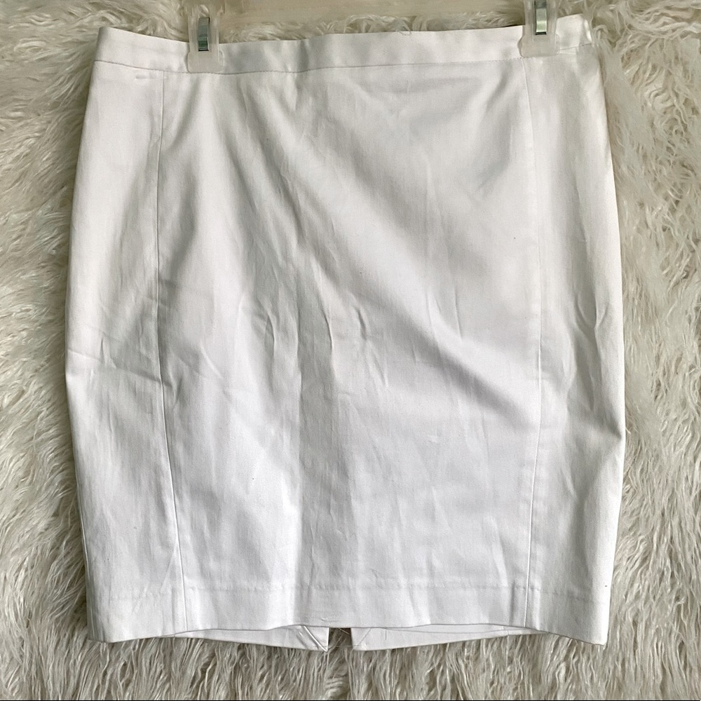 Express Pencil Skirt